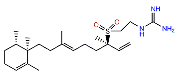 Iso-agelasidine B